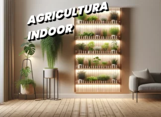 agricultura indoor
